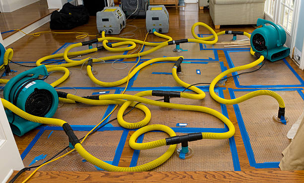 Professional Structural Drying And Dehumidification technician working in Marysville, CA